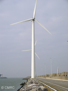 Wind Turbines on the Belgium Coast, photo taken on fieldtrip at COREPOINT-Conference in Belgium February 2006