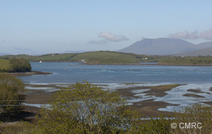 Aquaculture in Bantry Bay, County Cork